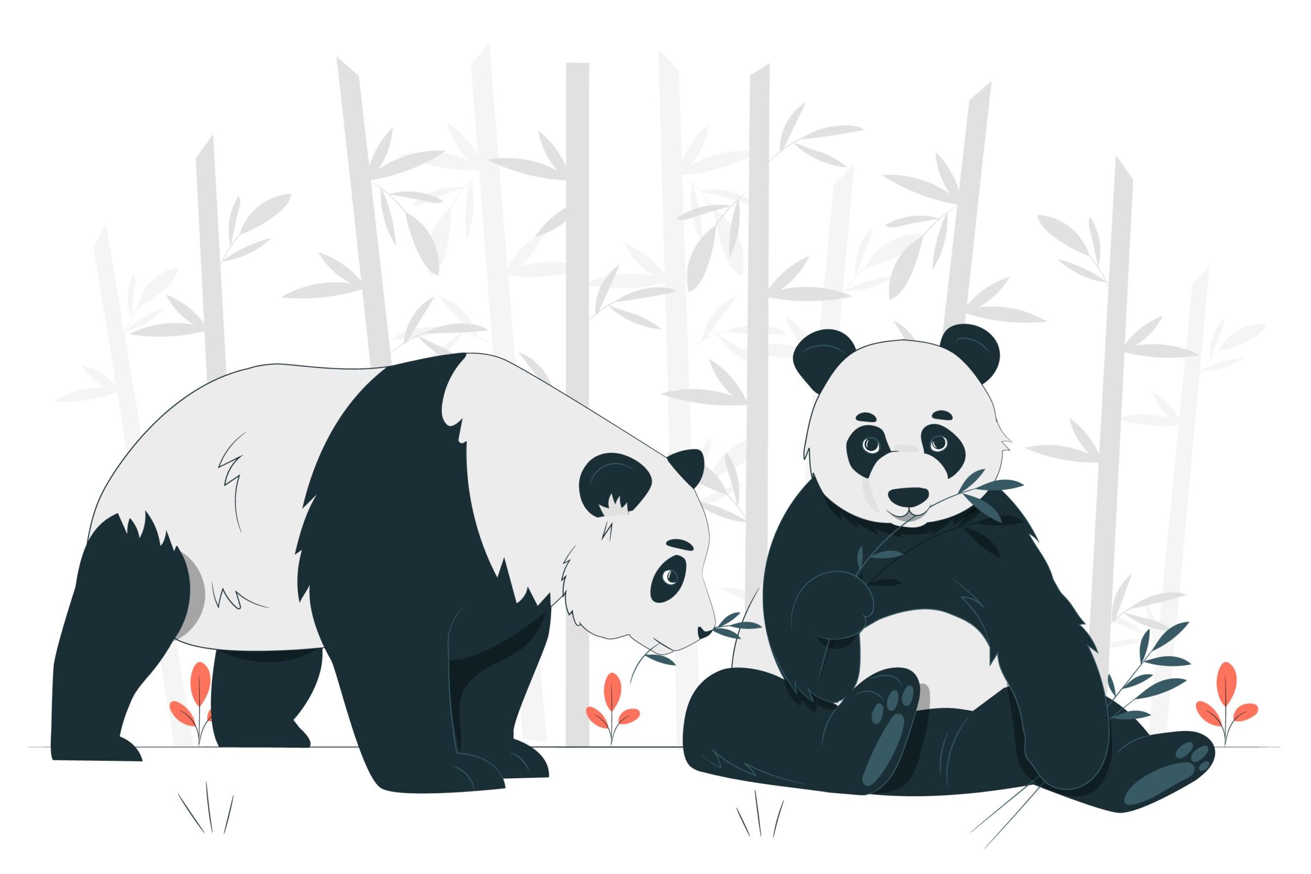 Panda Rasm Başka Bir Alem: Harika Pandalar - ArfBot Blog